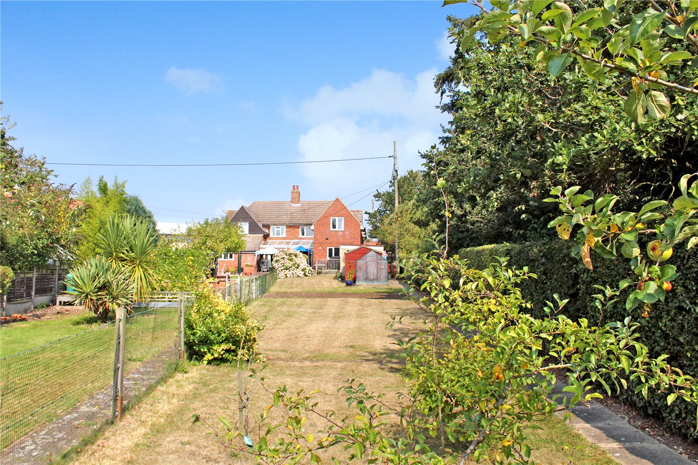 Rear